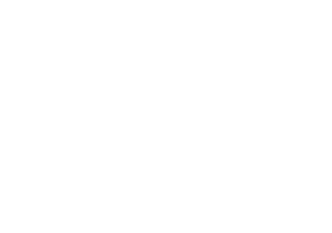 smarthub logo